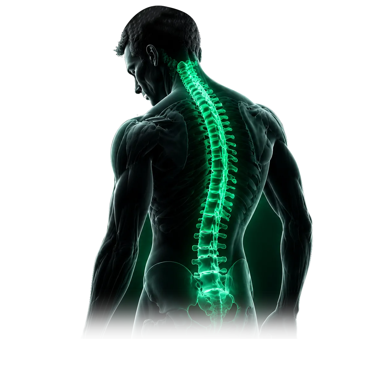 spine-image